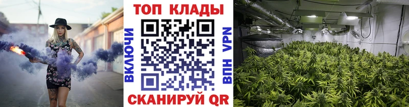 Где купить наркоту Ладушкин Марихуана Псилоцибиновые грибы ГАШИШ Alpha PVP АМФ