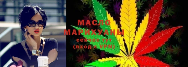 скорость Каменка