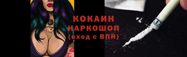 гашик Карталы