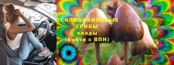 MDMA Каменногорск