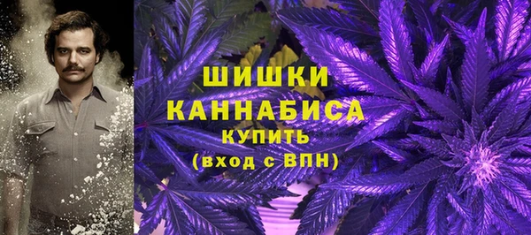 гашик Карталы