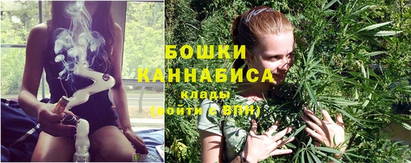 гашик Карталы