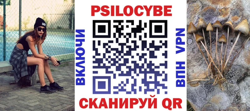 Псилоцибиновые грибы MAGIC MUSHROOMS  купить наркотики сайты  Ладушкин 